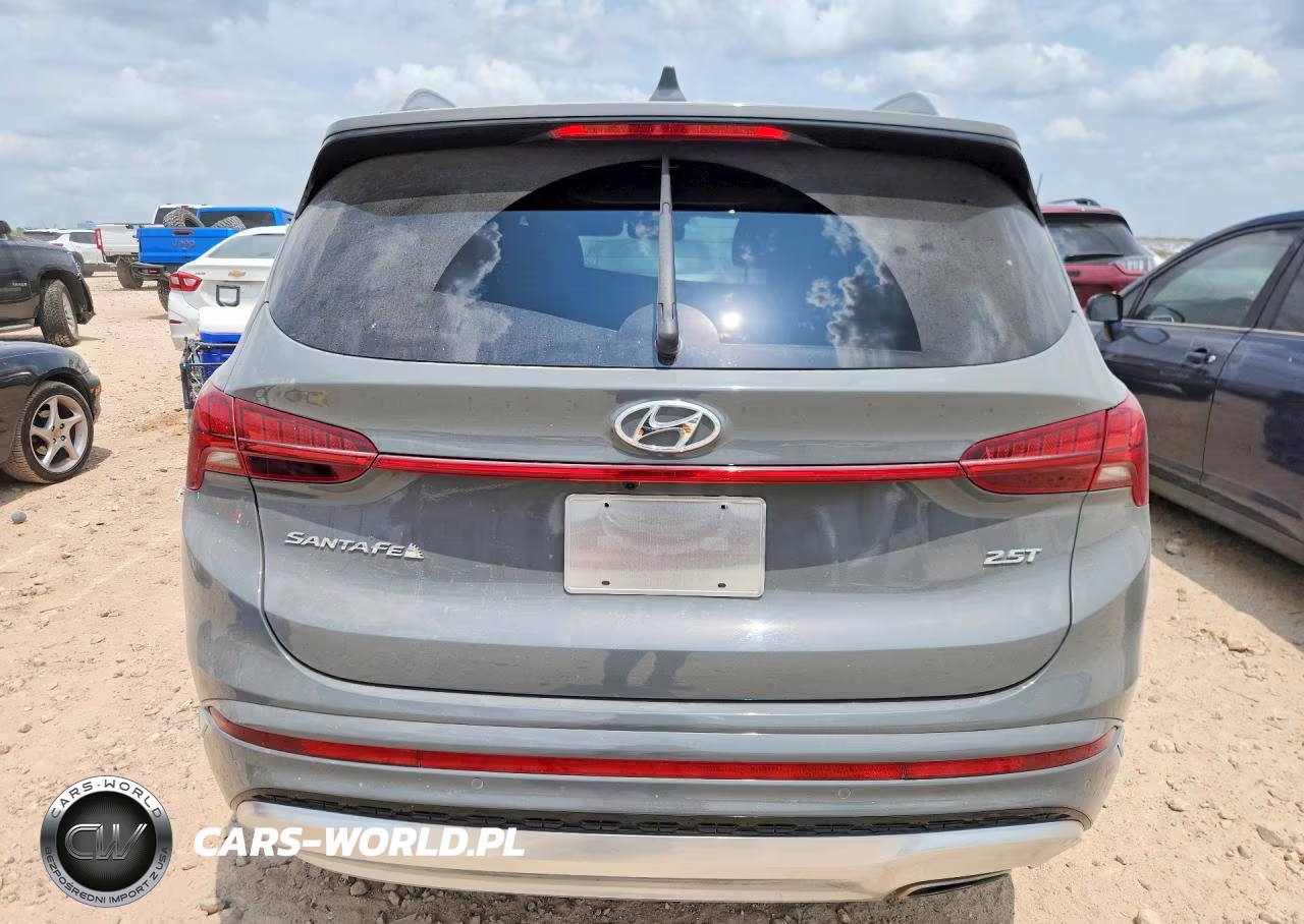 2023 Hyundai Santa Fe Calligraphy VIN:5NMS54AL3PH562382 - 6