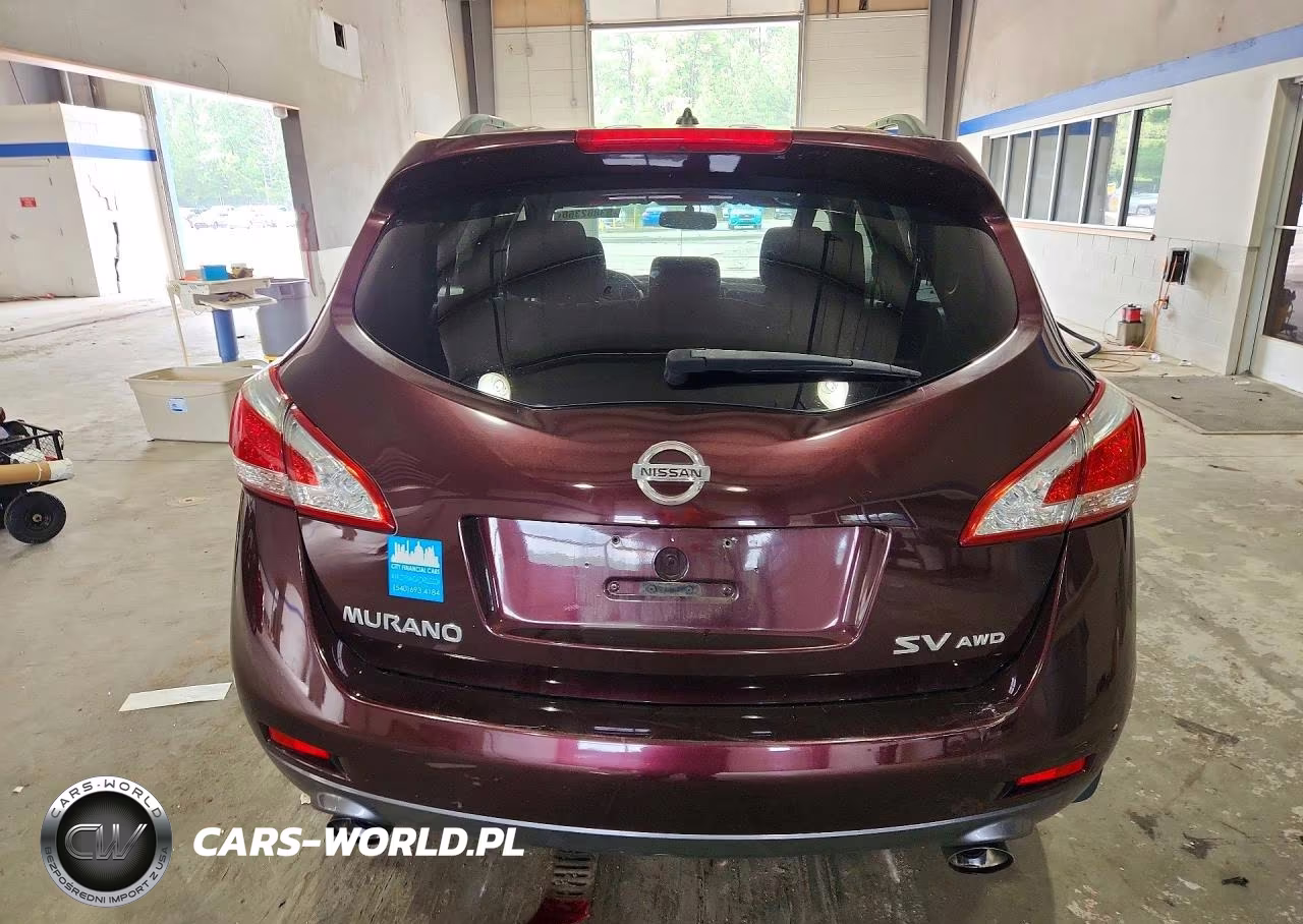 2013 Nissan Murano S VIN:JN8AZ1MW4DW319455 - 6