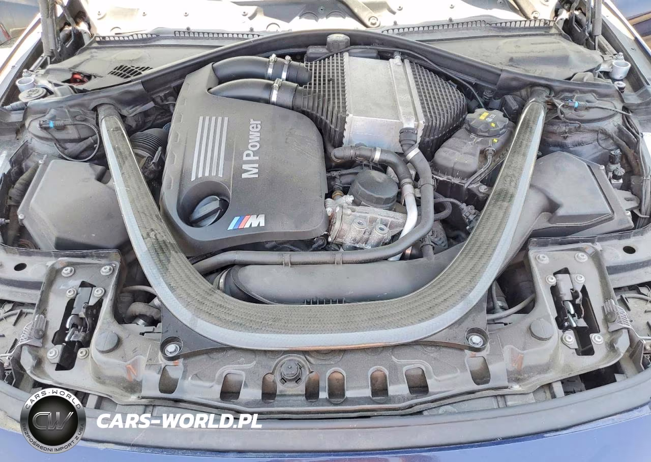 2015 BMW M3 VIN:WBS3C9C55FP806053 - 11