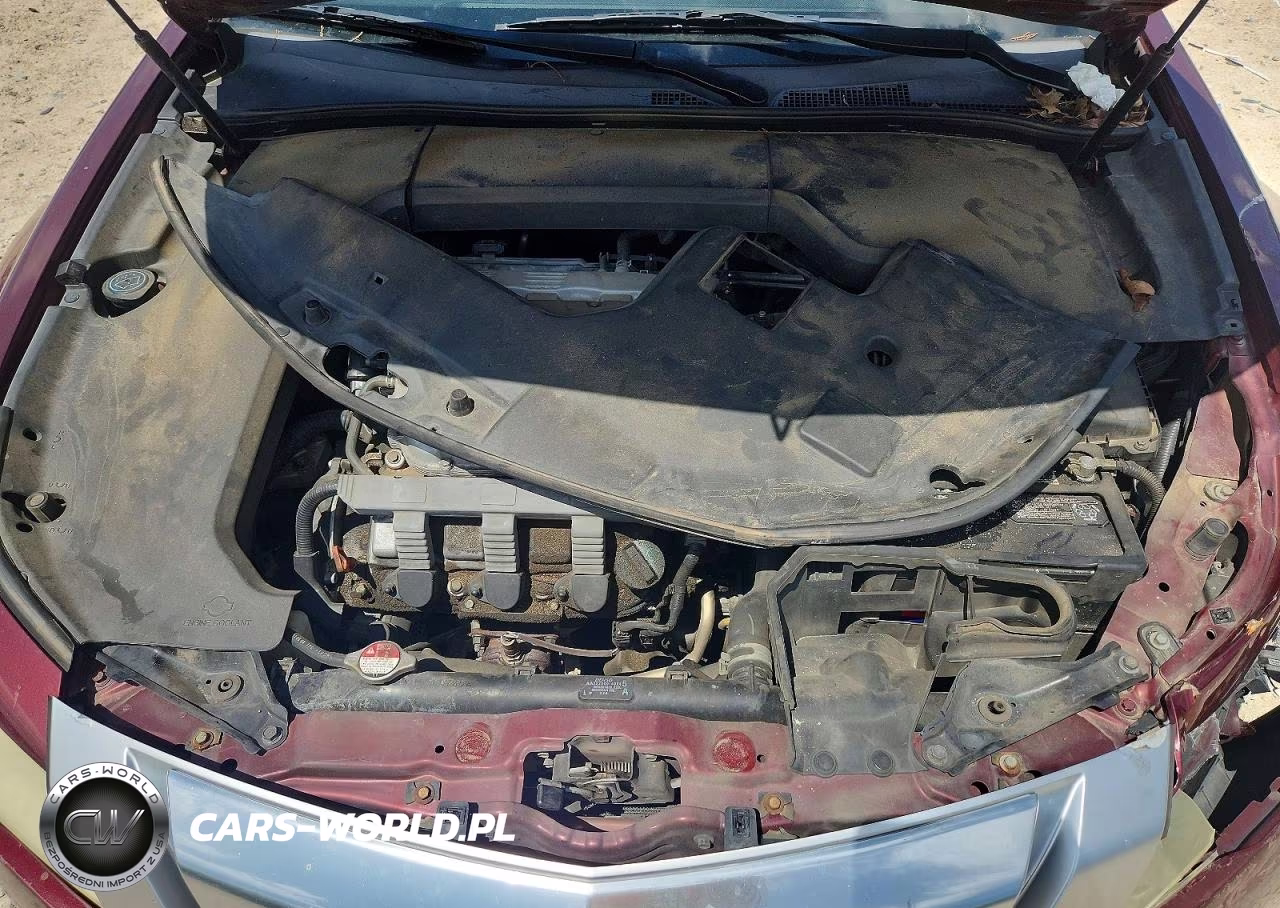 2009 Acura Tl VIN:19UUA865X9A023052 - 11