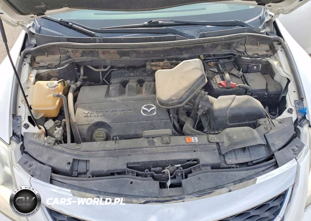 2012 Mazda Cx-9 VIN:JM3TB2CA4C0359113 - 12