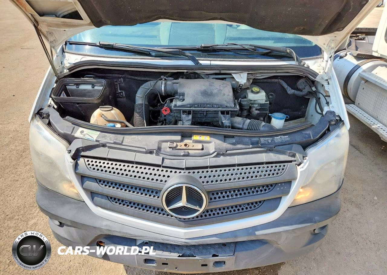 2014 Mercedes-Benz Sprinter 2500 Delivery Van VIN:WD3PE8DE4E5831672 - 12