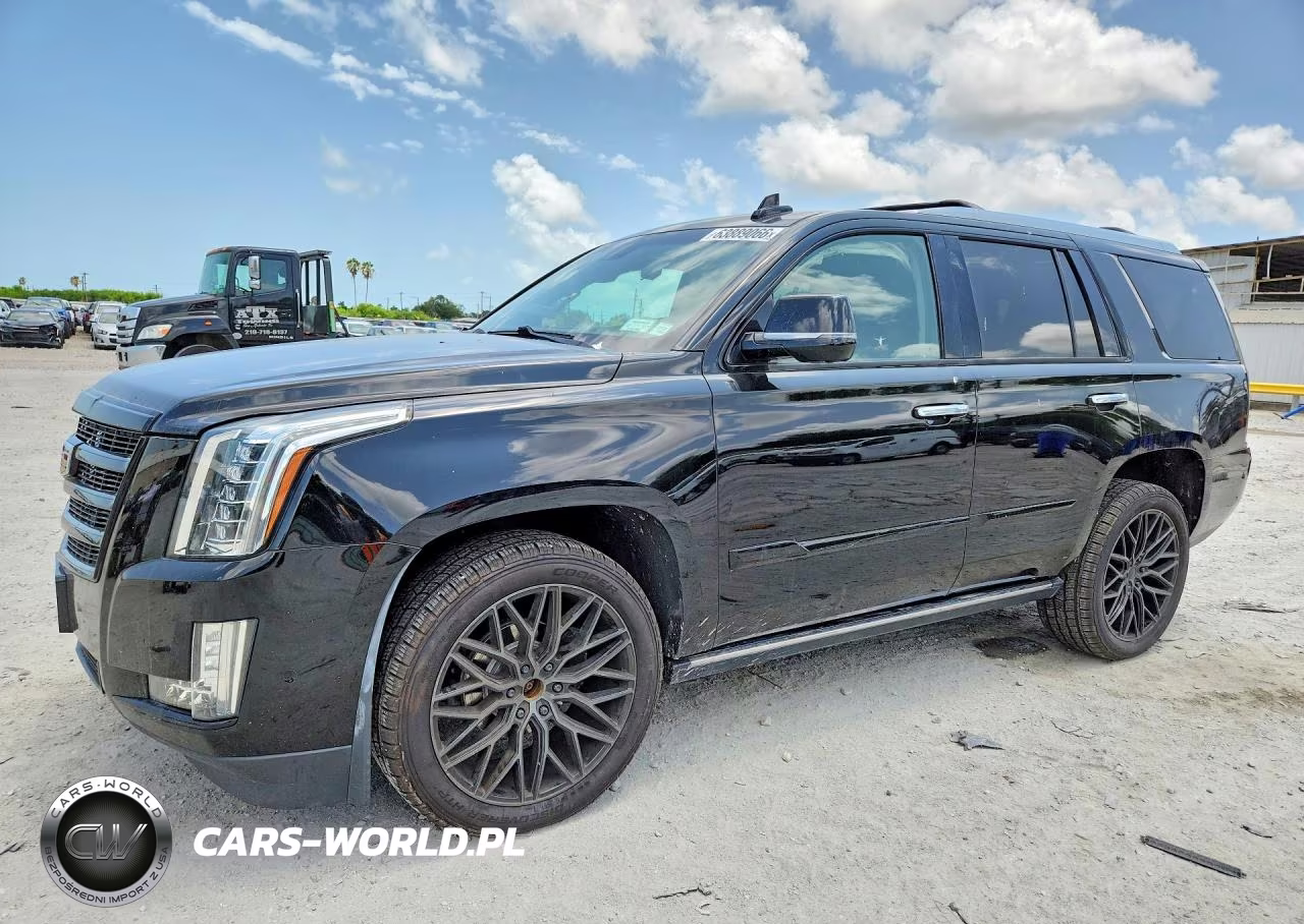2019 Cadillac Escalade Premium Luxury VIN:1GYS4CKJ3KR373305 - 1