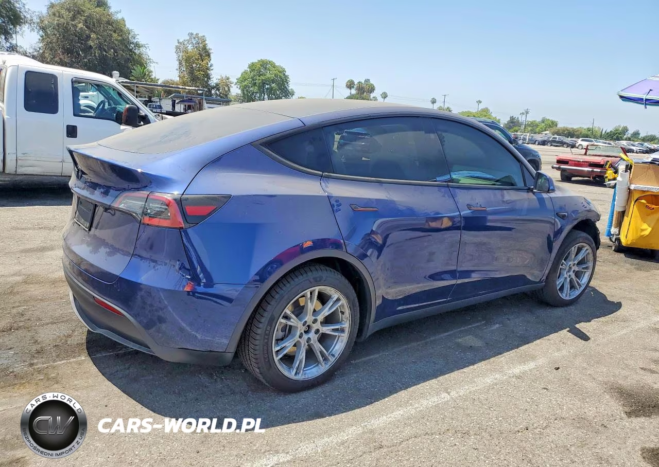 2023 Tesla Model Y VIN:7SAYGDED8PF960571 - 3