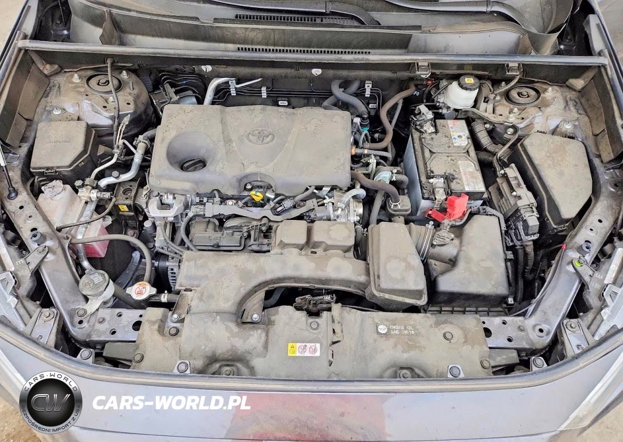 2023 Toyota Rav4 Xle VIN:JTMW1RFV5PD103772 - 12
