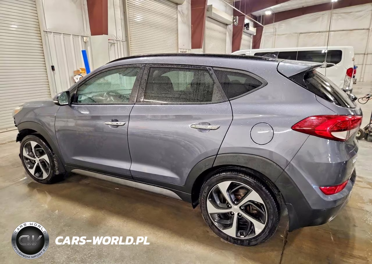 2016 Hyundai Tucson Limited VIN:KM8J3CA24GU220687 - 2