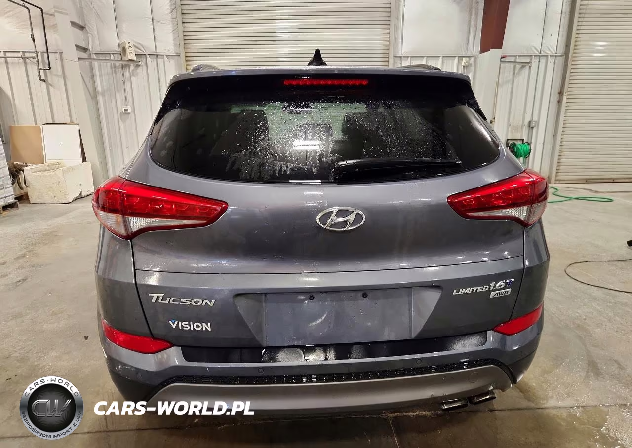 2016 Hyundai Tucson Limited VIN:KM8J3CA24GU220687 - 6