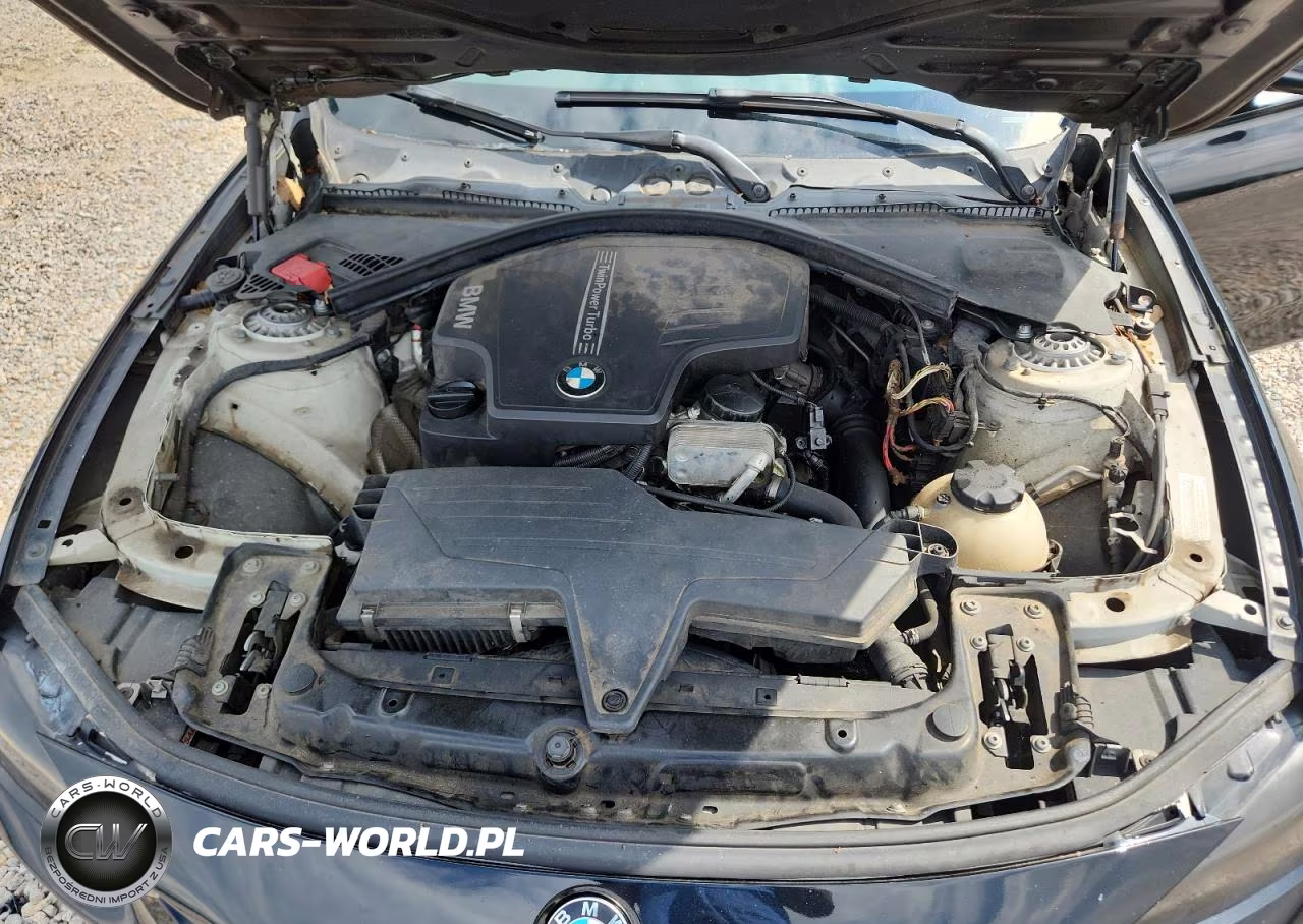 2013 BMW 320 I xDrive VIN:WBA3C3C56DF980766 - 11