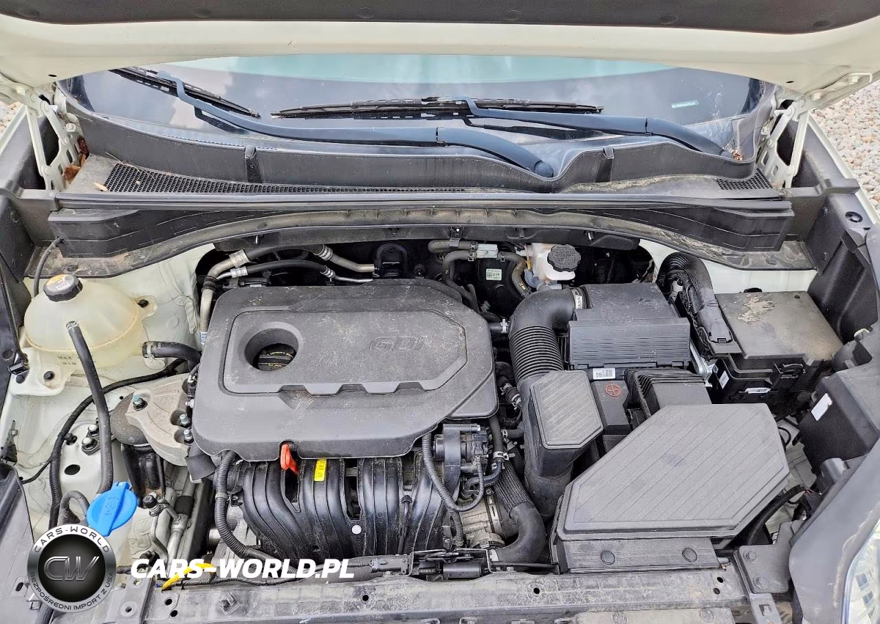 2020 Kia Sportage Lx VIN:KNDPM3AC4L7812247 - 12