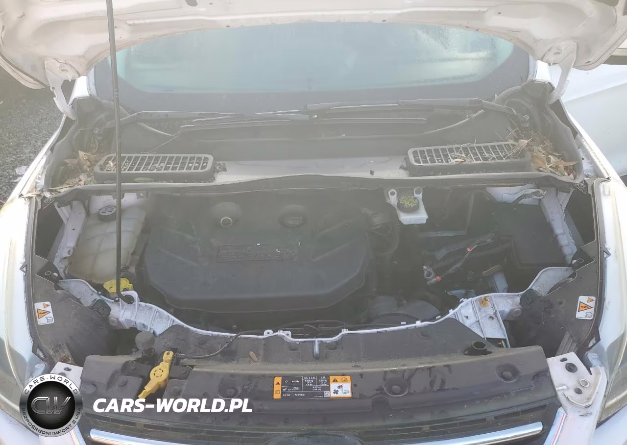 2013 Ford Escape Titanium VIN:1FMCU0J95DUD64679 - 11