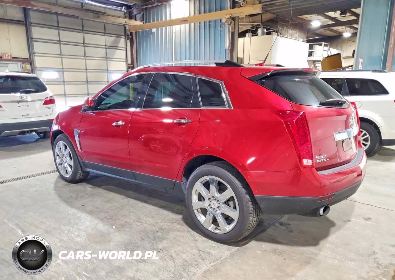 2010 Cadillac Srx Premium Collection VIN:3GYFNFEY3AS613926 - 2