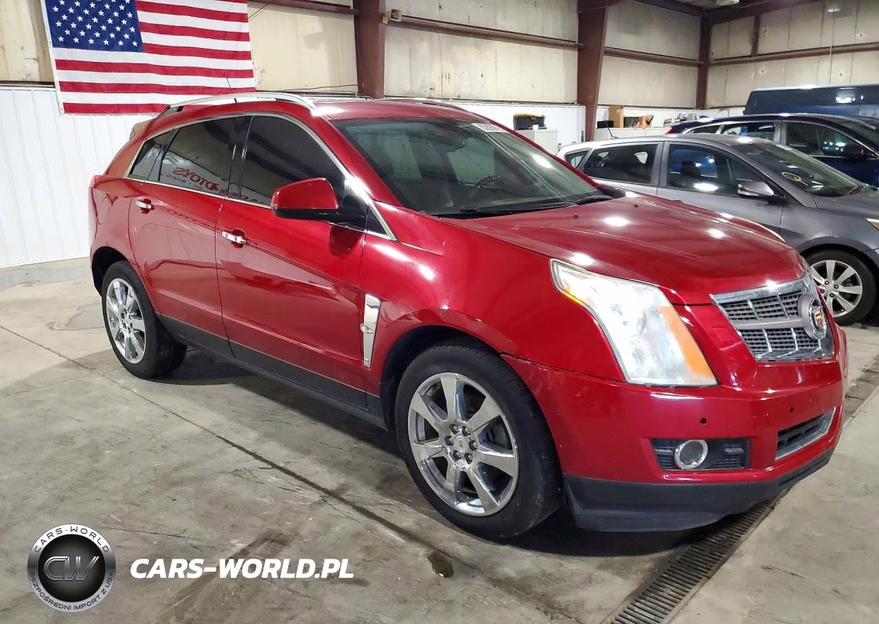 2010 Cadillac Srx Premium Collection VIN:3GYFNFEY3AS613926 - 4
