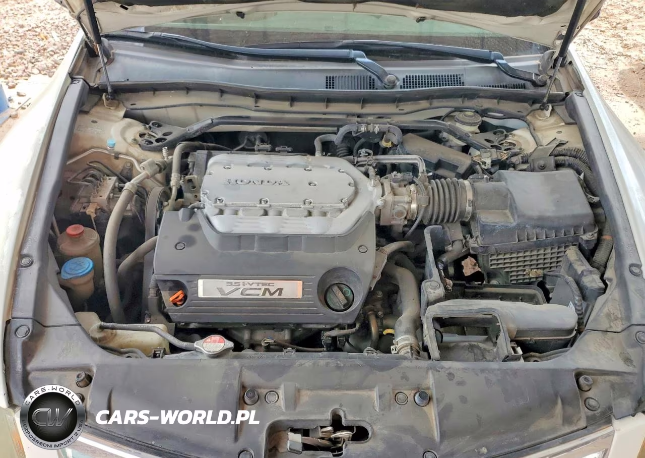 2009 Honda Accord Exl VIN:1HGCP36819A041558 - 11