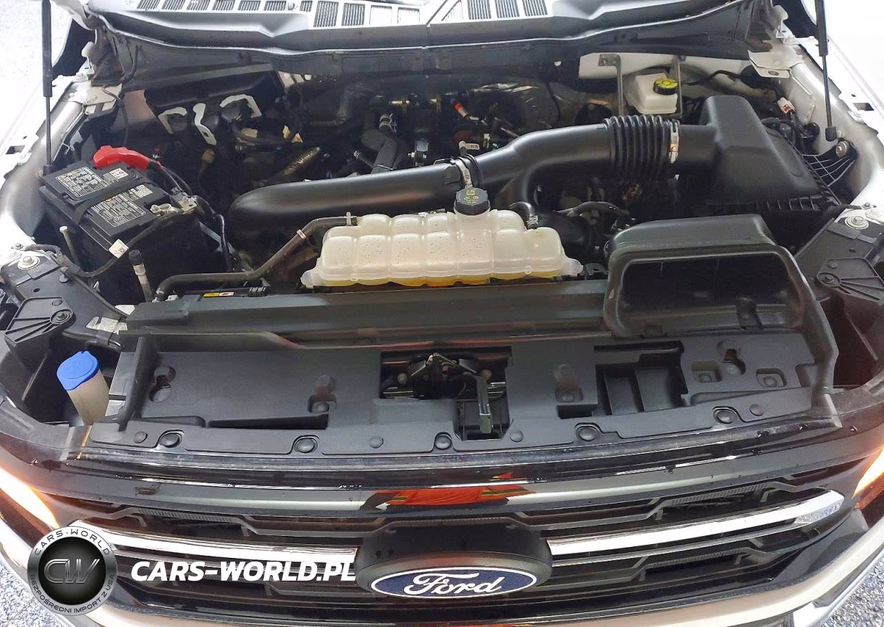 2025 Ford F150 Xlt VIN:1FTEW3K87SKE76990 - 11