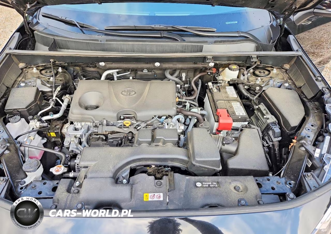 2025 Toyota Rav4 Xle Premium VIN:2T3A1RFV1SC534312 - 11
