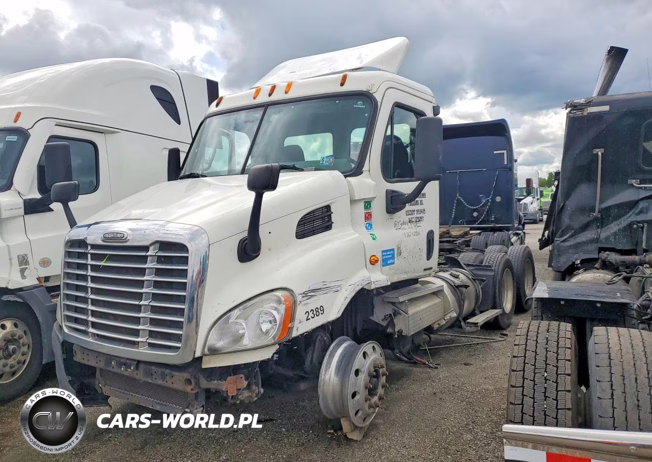 2010 Freightliner Cascadia 113