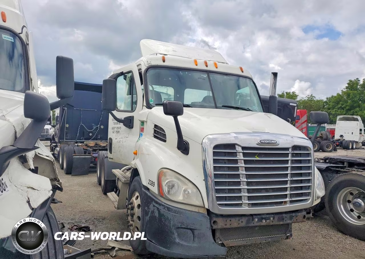 2010 Freightliner Cascadia 113 VIN:1FUJGBDV4ALAN6777 - 4