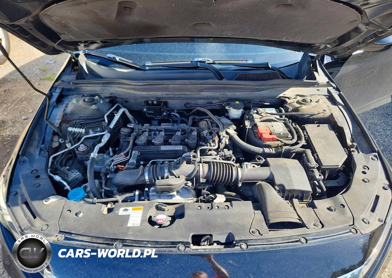 2019 Honda Accord Lx VIN:1HGCV1F19KA118423 - 11