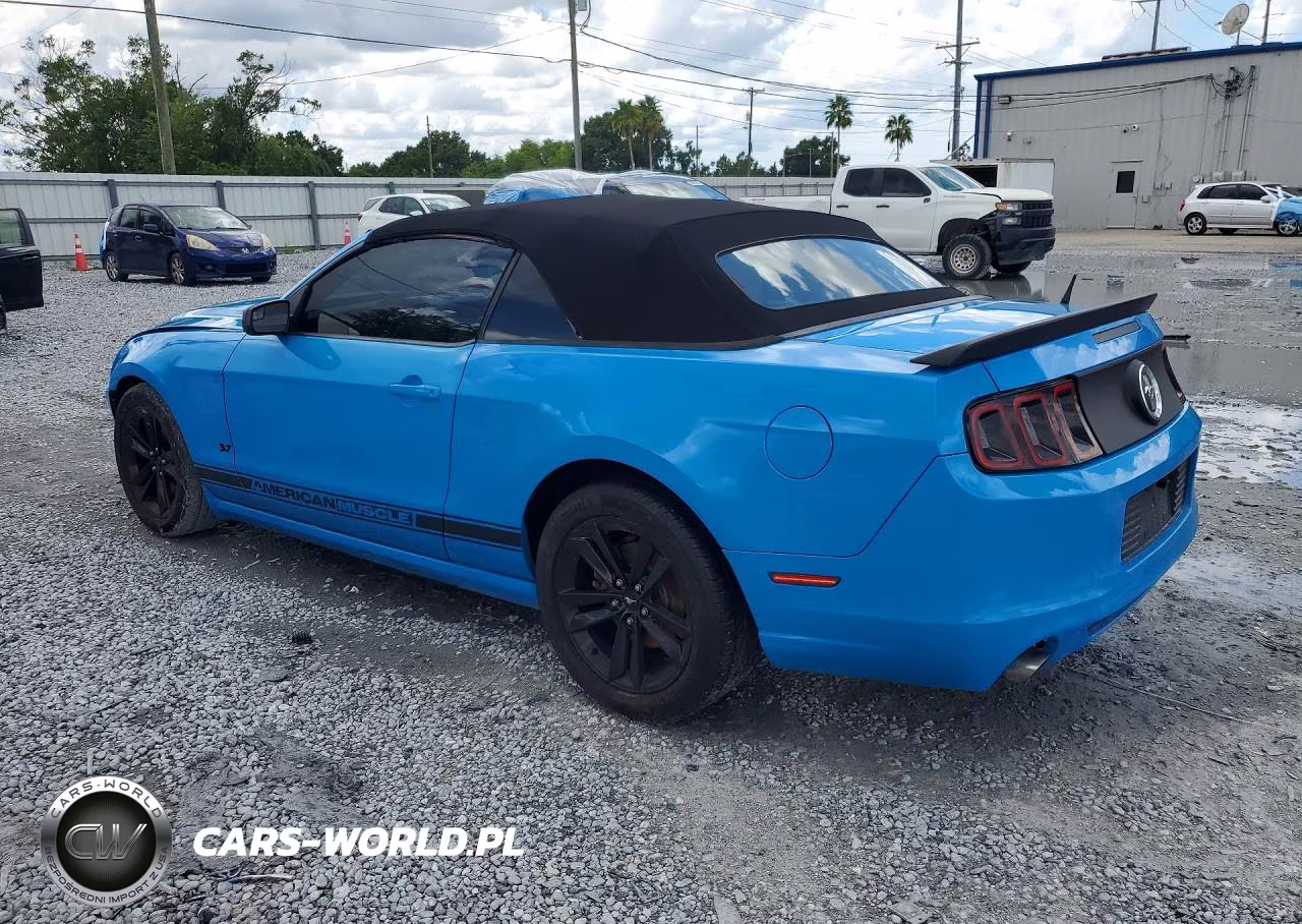 2014 Ford Mustang VIN:1ZVBP8EM7E5220225 - 2