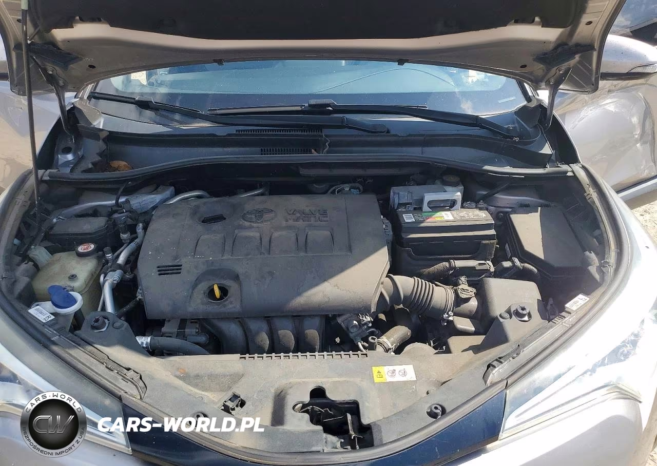 2019 Toyota C-Hr Xle VIN:NMTKHMBX4KR101429 - 12