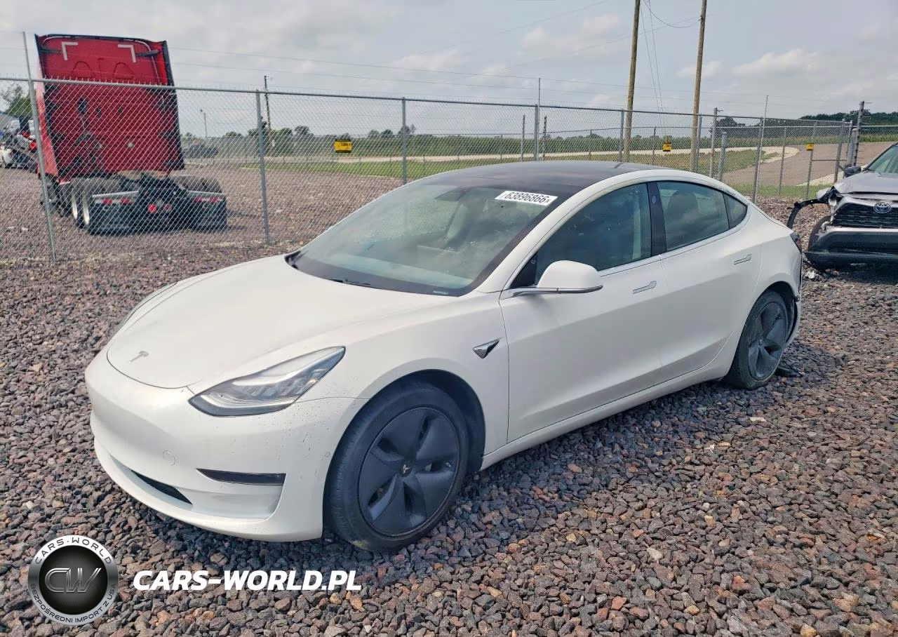 2019 Tesla Model 3