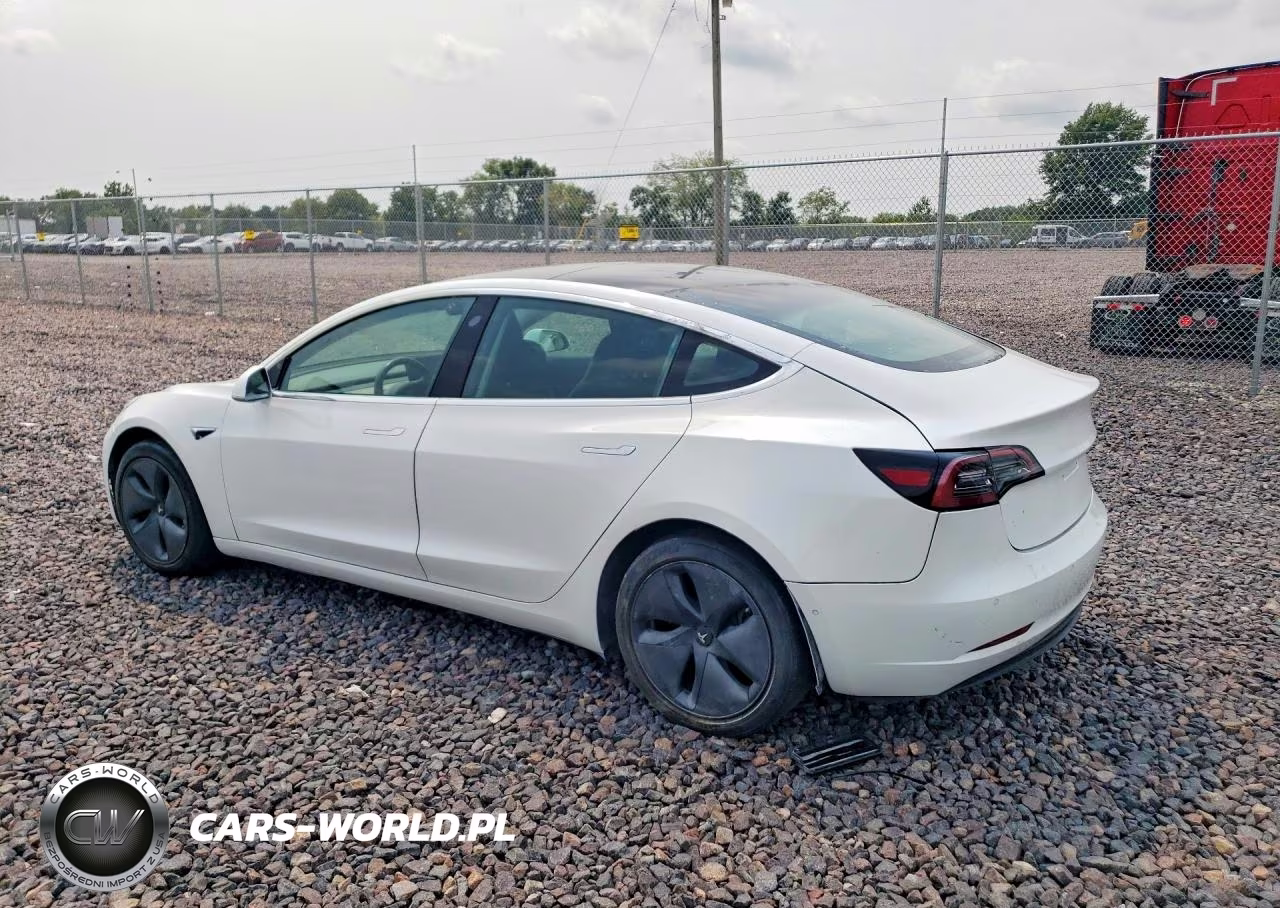 2019 Tesla Model 3 VIN:5YJ3E1EA1KF401681 - 2