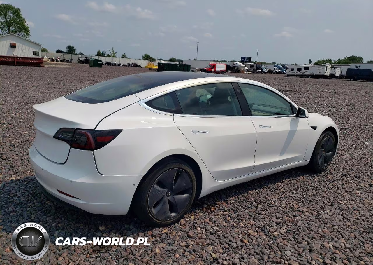 2019 Tesla Model 3 VIN:5YJ3E1EA1KF401681 - 3