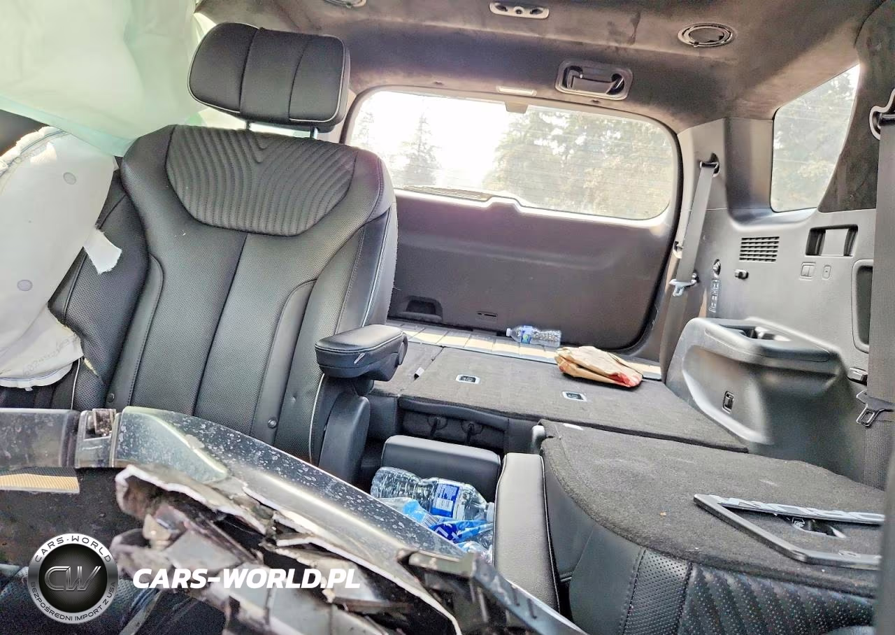 2024 Hyundai Palisade Calligraphy VIN:KM8R7DGE1RU698843 - 10