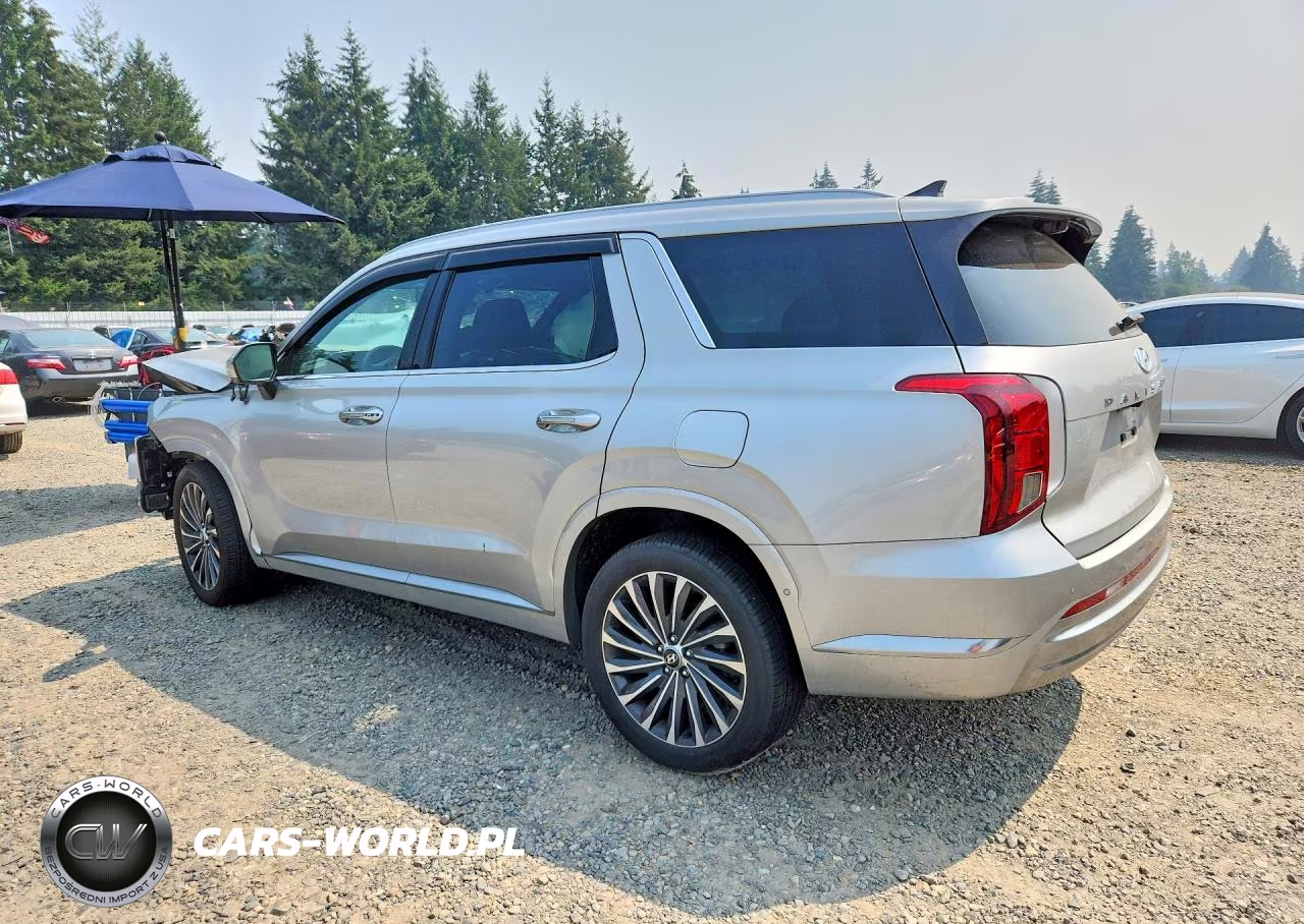 2024 Hyundai Palisade Calligraphy VIN:KM8R7DGE1RU698843 - 2