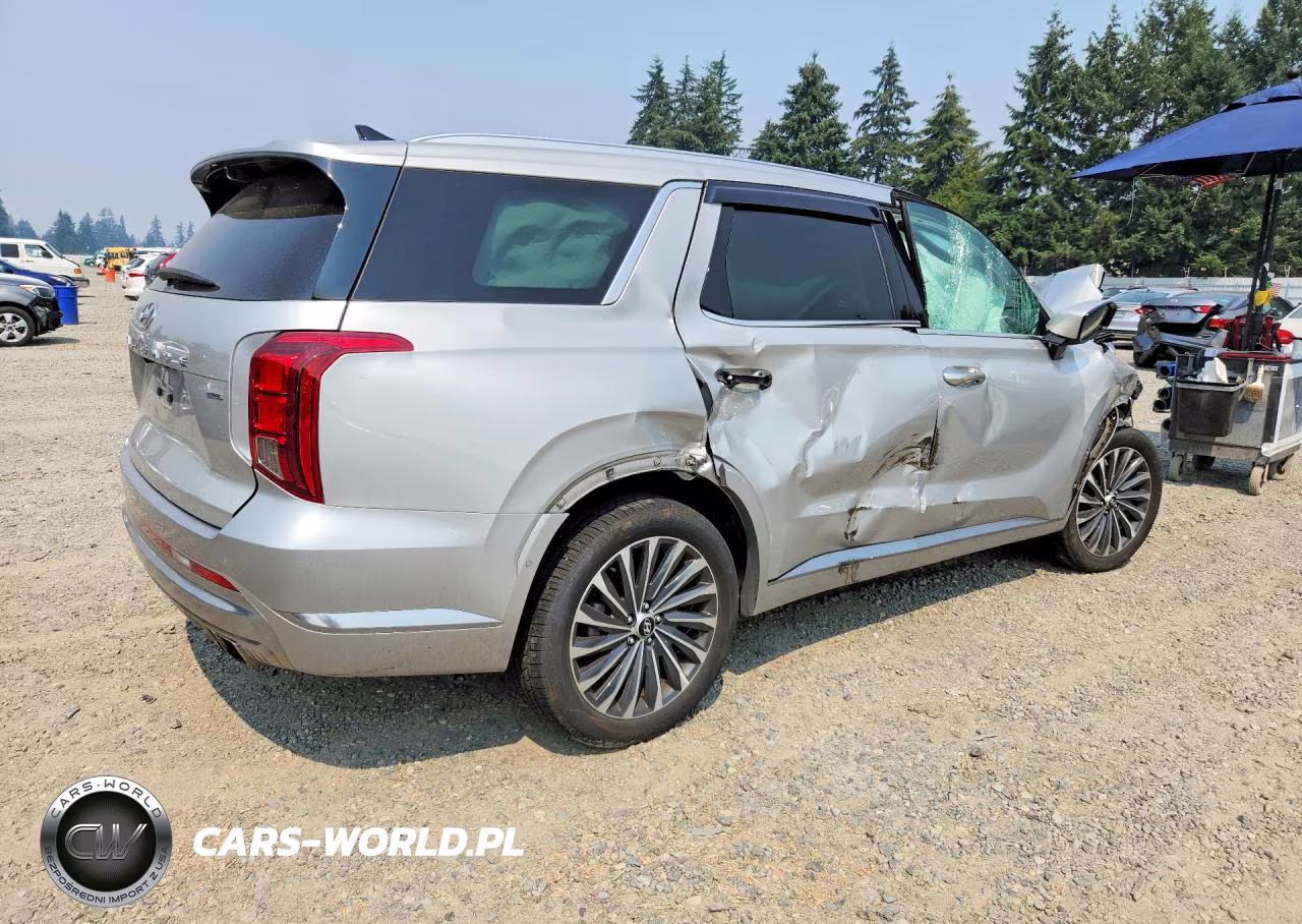 2024 Hyundai Palisade Calligraphy VIN:KM8R7DGE1RU698843 - 3