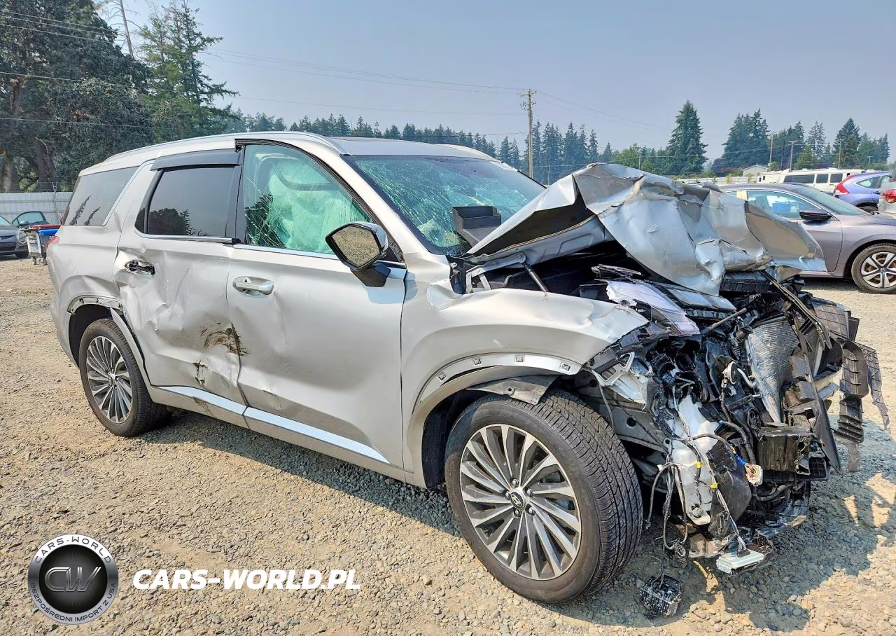 2024 Hyundai Palisade Calligraphy VIN:KM8R7DGE1RU698843 - 4
