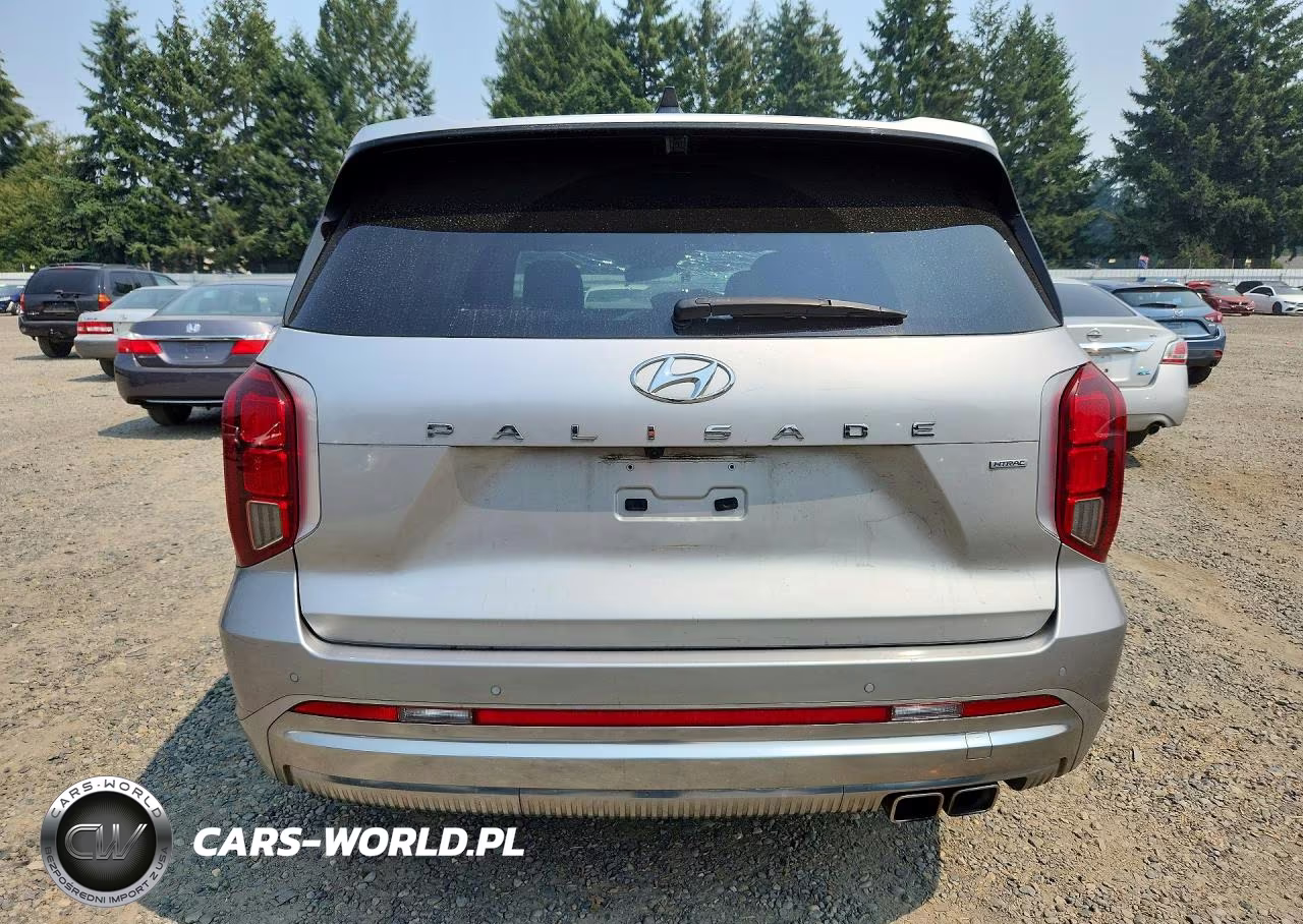 2024 Hyundai Palisade Calligraphy VIN:KM8R7DGE1RU698843 - 6