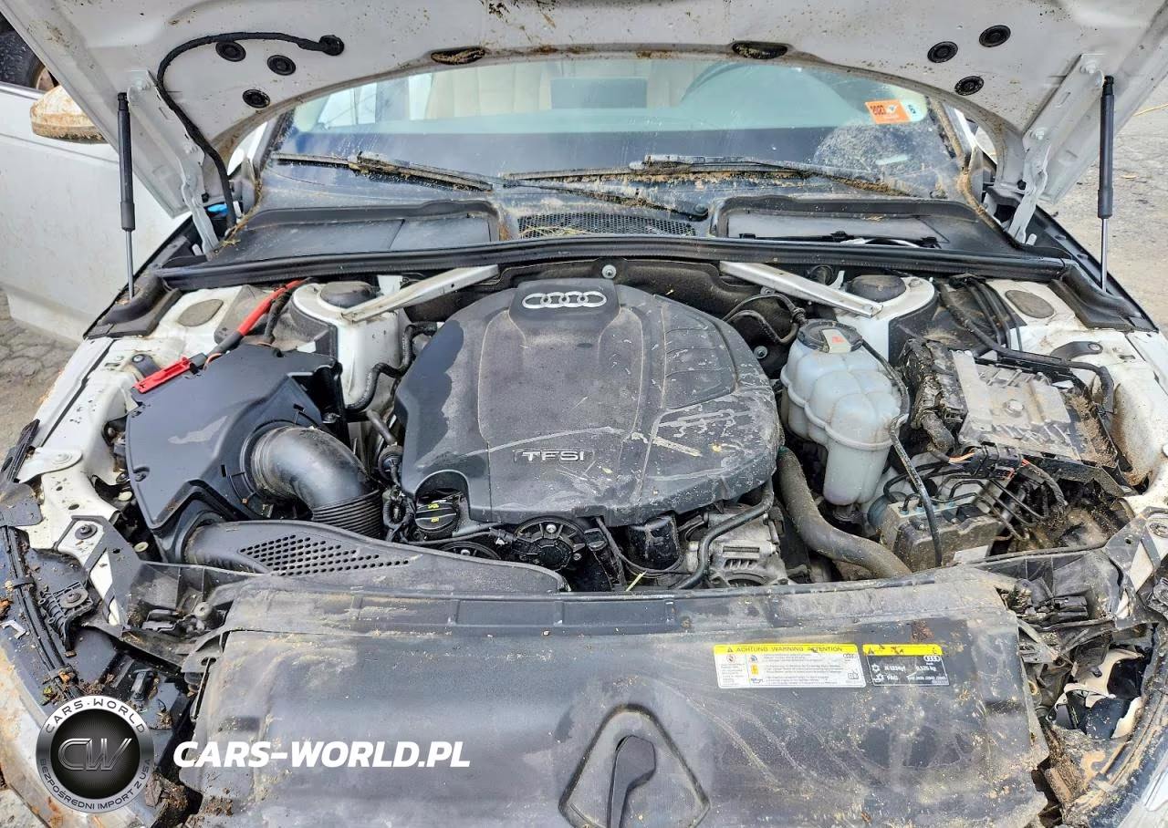 2019 Audi A4 Premium Plus VIN:WAUENAF41KA064887 - 11