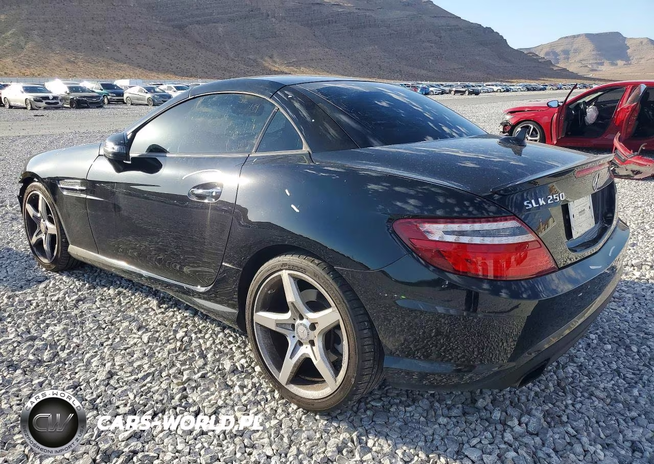 2014 Mercedes-Benz Slk 250 VIN:WDDPK4HA8EF089422 - 2