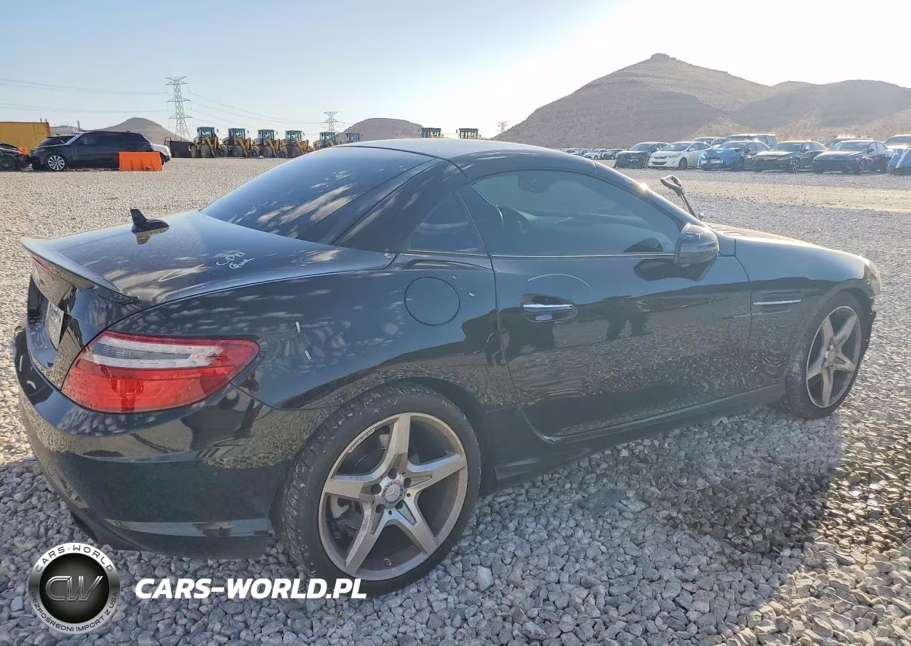 2014 Mercedes-Benz Slk 250 VIN:WDDPK4HA8EF089422 - 3