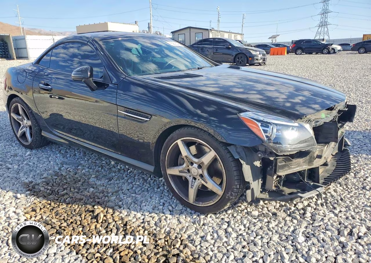 2014 Mercedes-Benz Slk 250 VIN:WDDPK4HA8EF089422 - 4