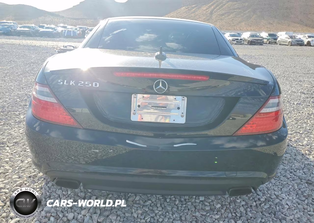 2014 Mercedes-Benz Slk 250 VIN:WDDPK4HA8EF089422 - 6