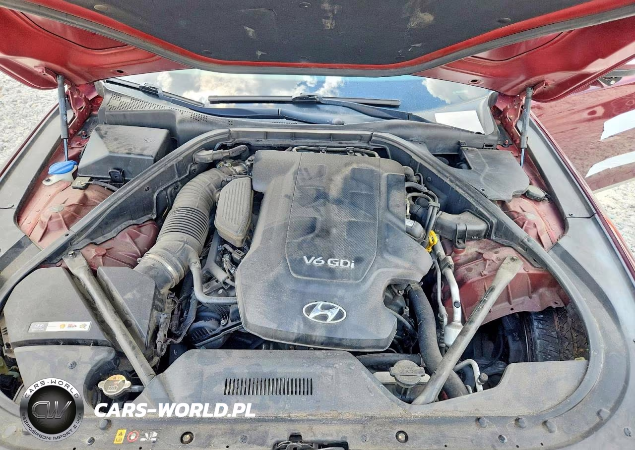 2015 Hyundai Genesis 3.8L VIN:KMHGN4JE6FU090561 - 11