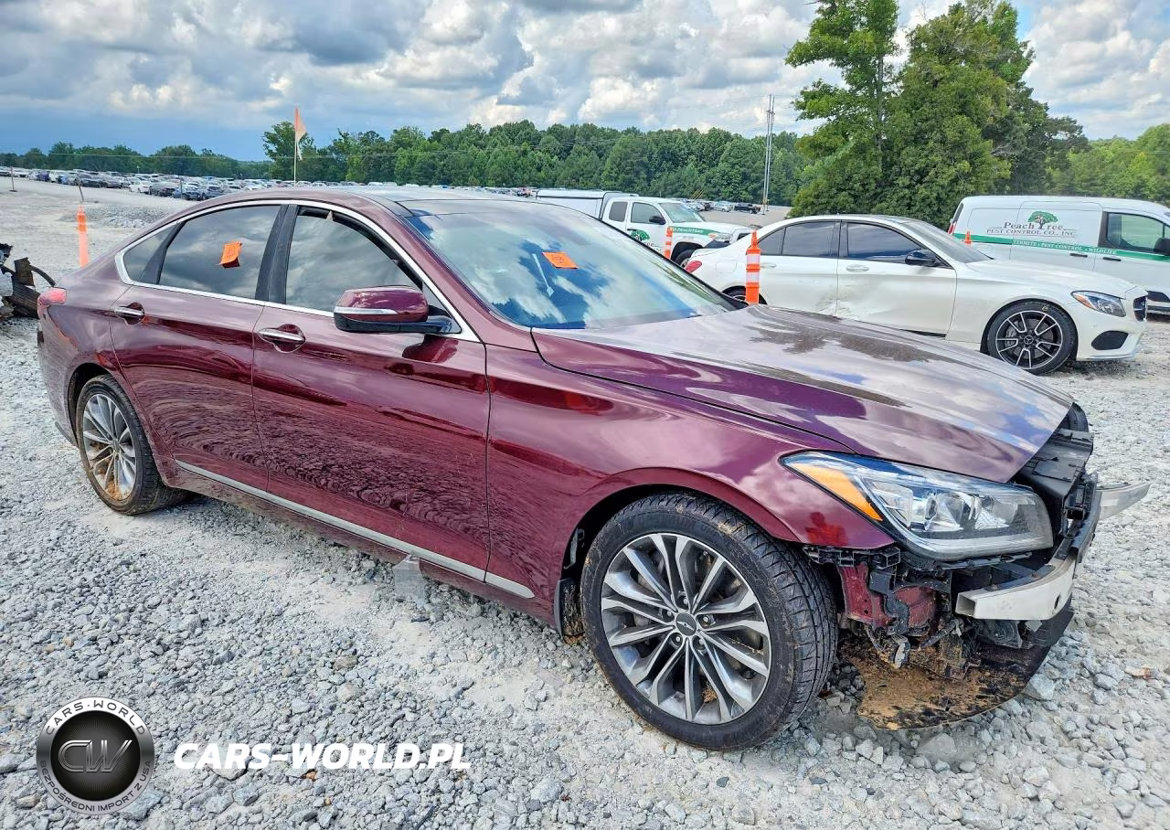 2015 Hyundai Genesis 3.8L VIN:KMHGN4JE6FU090561 - 4