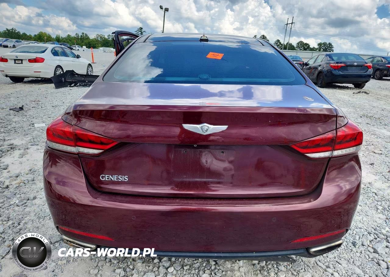 2015 Hyundai Genesis 3.8L VIN:KMHGN4JE6FU090561 - 6