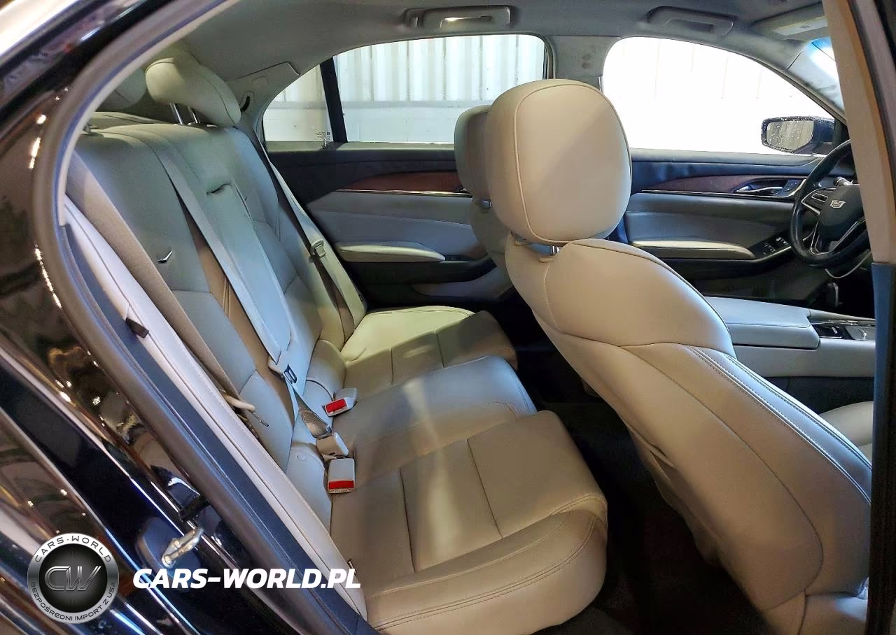 2015 Cadillac Cts VIN:1G6AP5SX6F0109243 - 10
