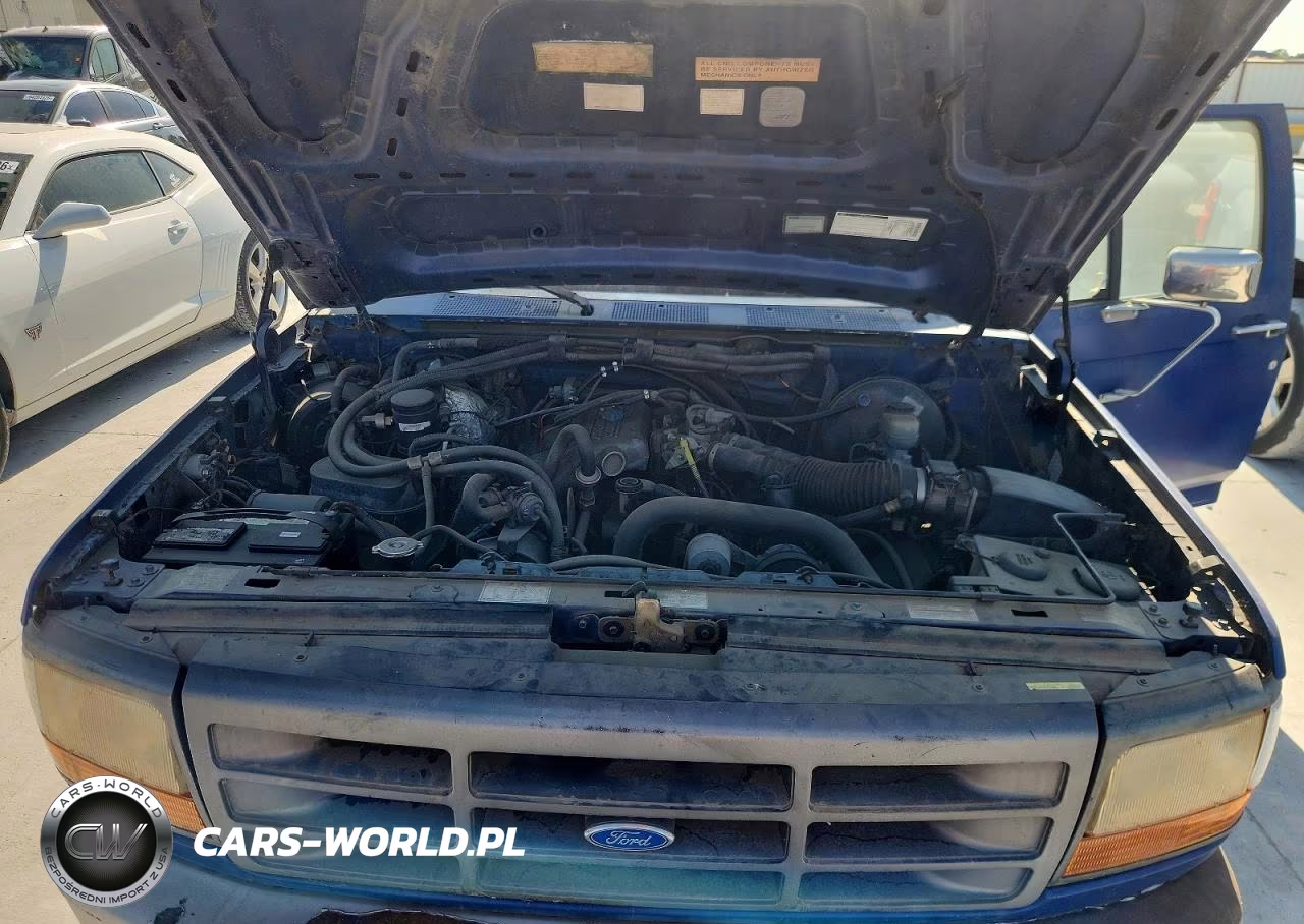 1996 Ford F150 VIN:1FTEF15Z8TLB95298 - 11
