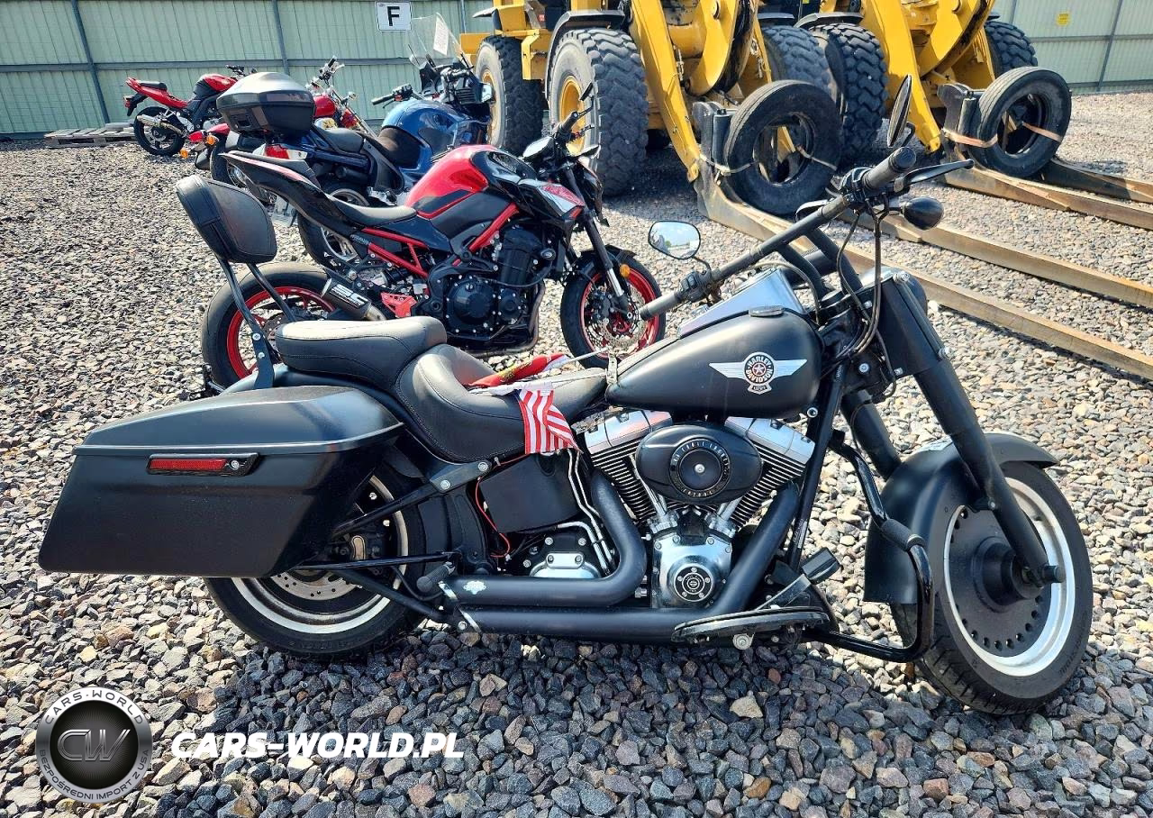 2010 Harley-Davidson Flstfb – zdjęcie 1 z 9