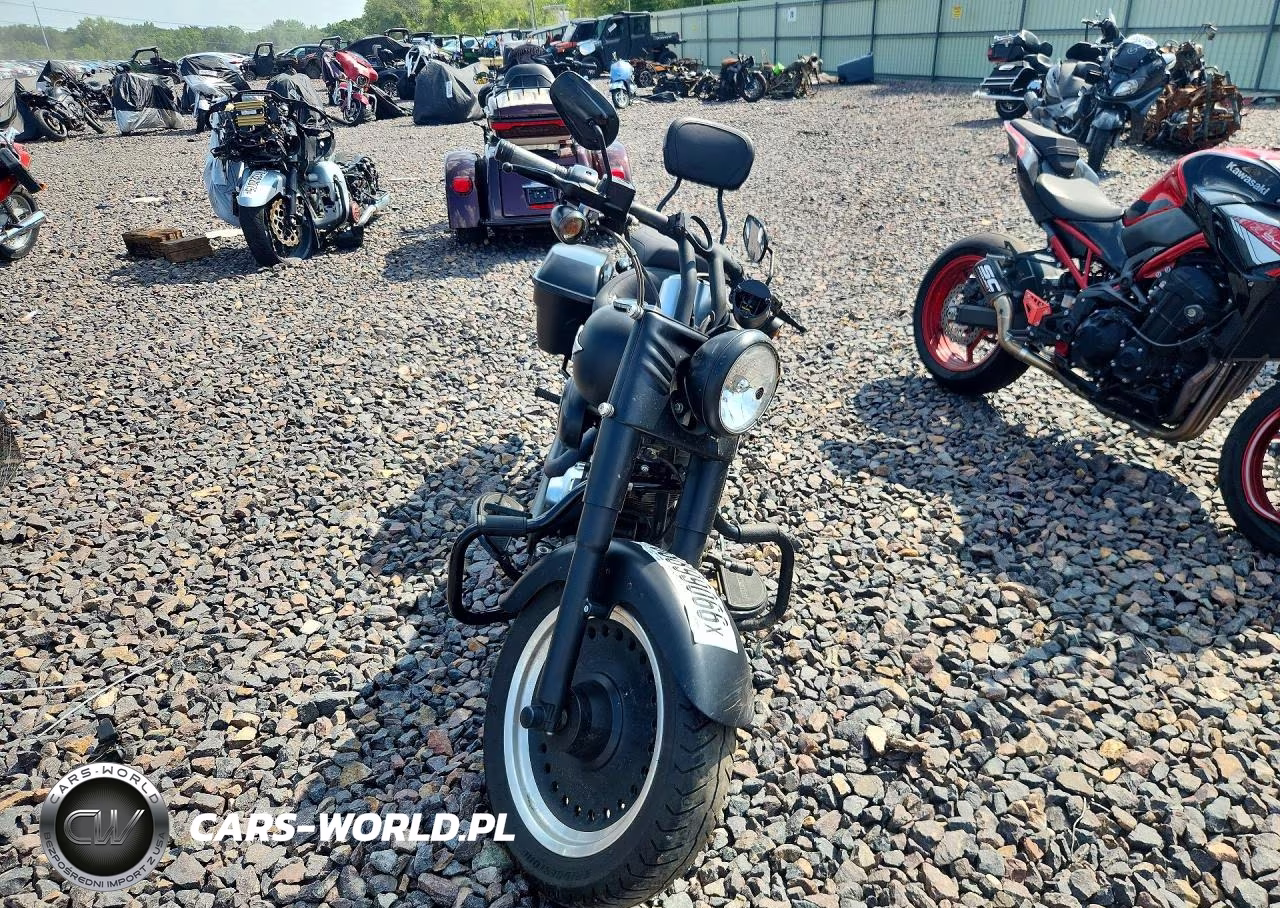 2010 Harley-Davidson Flstfb VIN:1HD1JN515AB041311 - 2