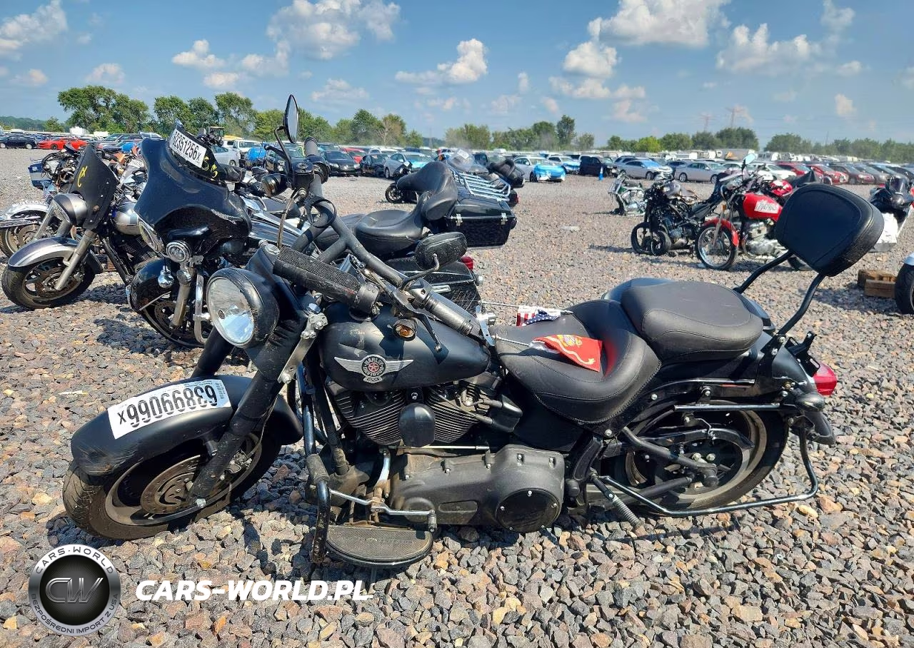 2010 Harley-Davidson Flstfb VIN:1HD1JN515AB041311 - 3