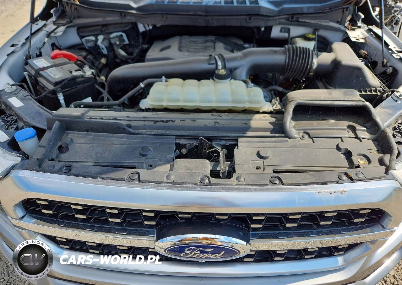 2022 Ford F150 Supercrew VIN:1FTFW1E89NFB16363 - 11