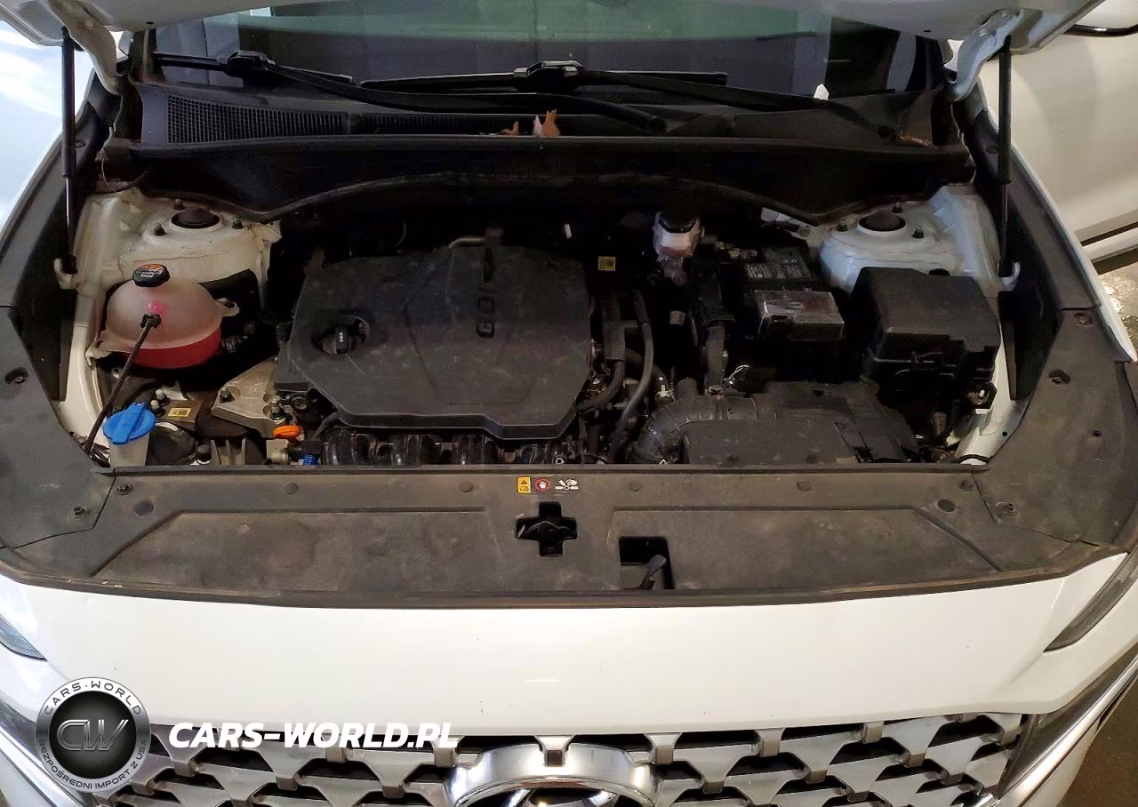 2021 Hyundai Santa Fe Sel VIN:5NMS2DAJXMH372632 - 12