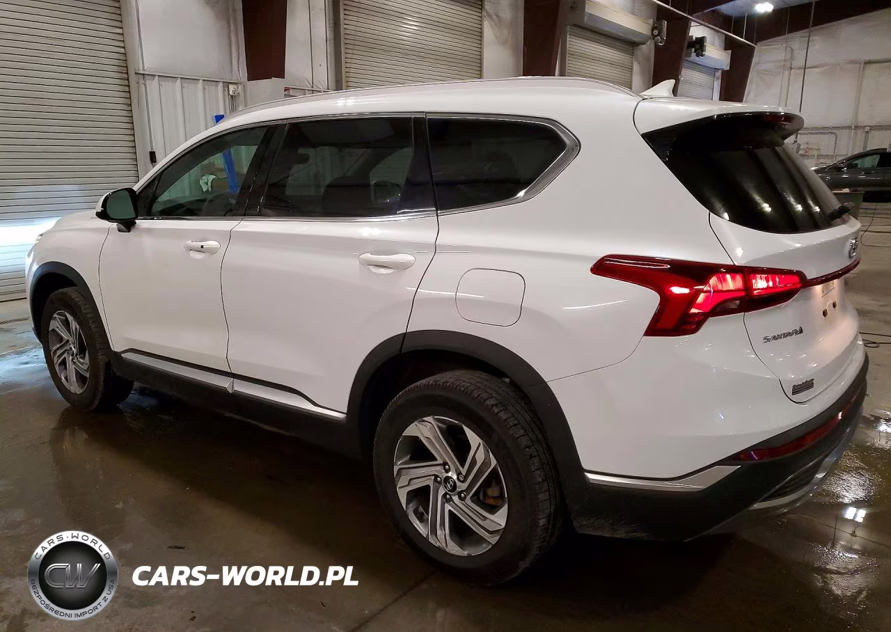 2021 Hyundai Santa Fe Sel VIN:5NMS2DAJXMH372632 - 2