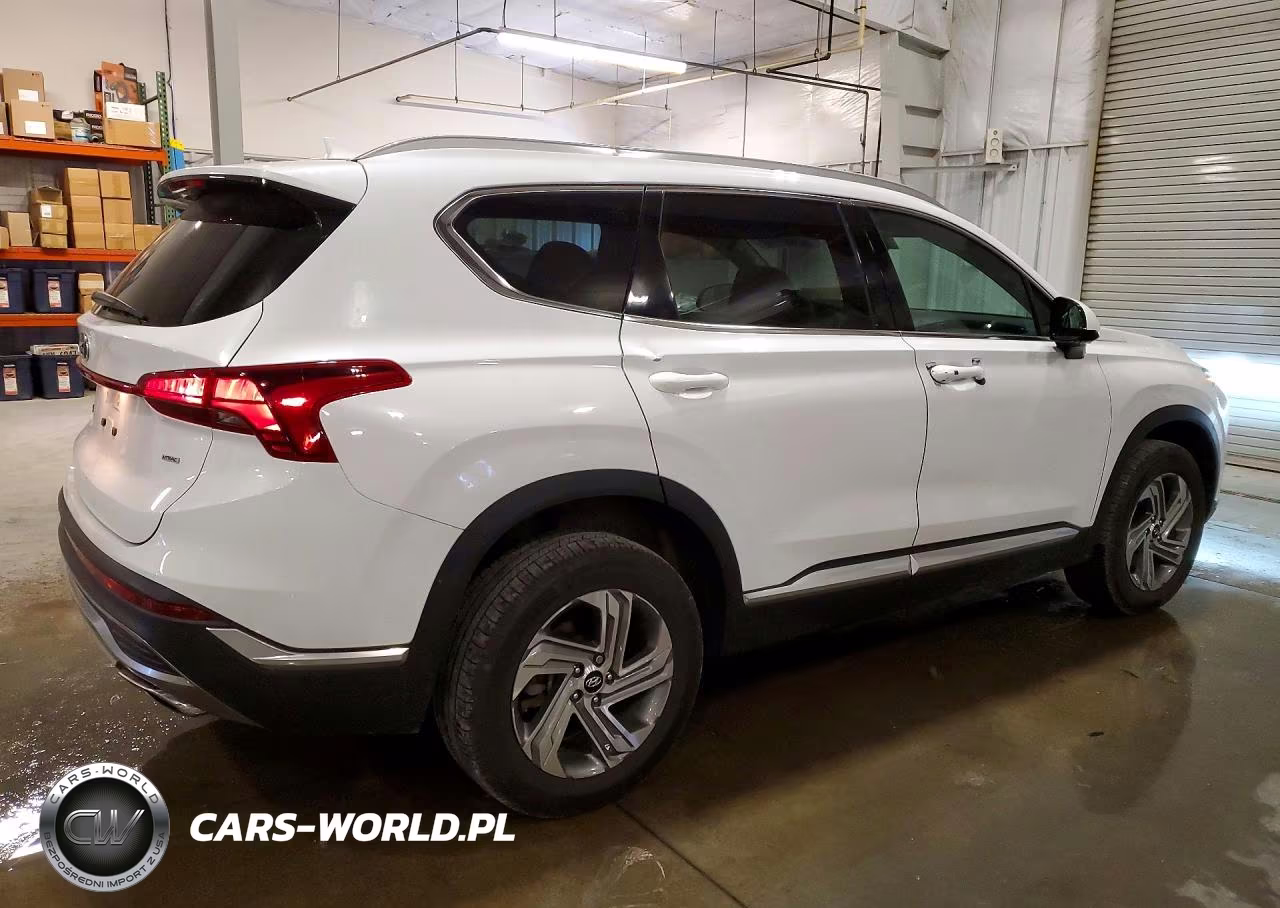 2021 Hyundai Santa Fe Sel VIN:5NMS2DAJXMH372632 - 3