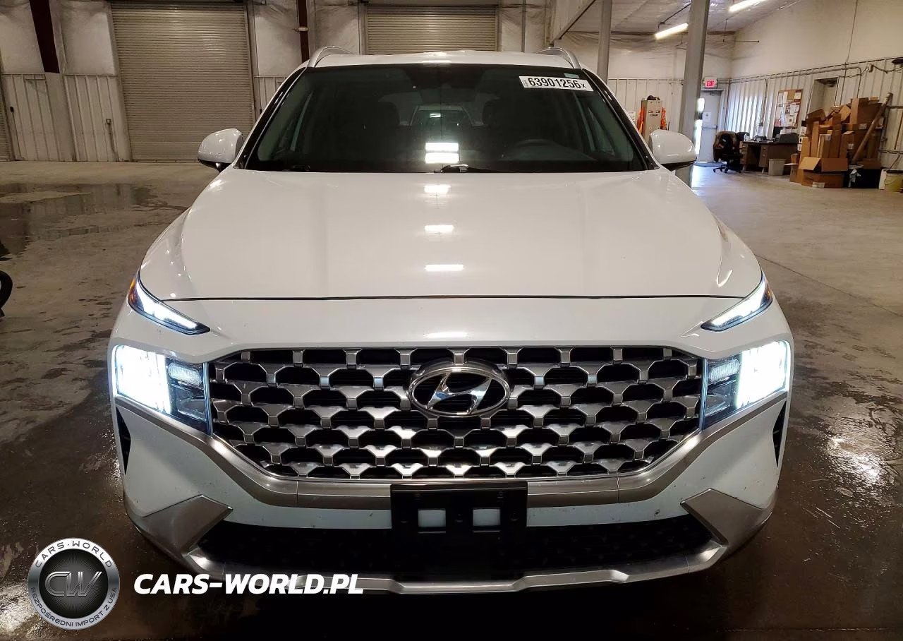 2021 Hyundai Santa Fe Sel VIN:5NMS2DAJXMH372632 - 5